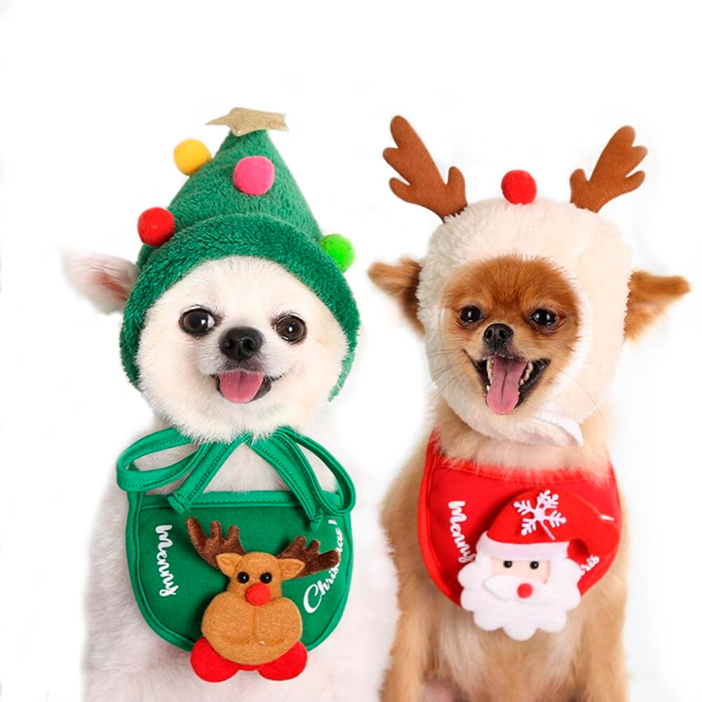 Roupa pet para Natal – PetMimos