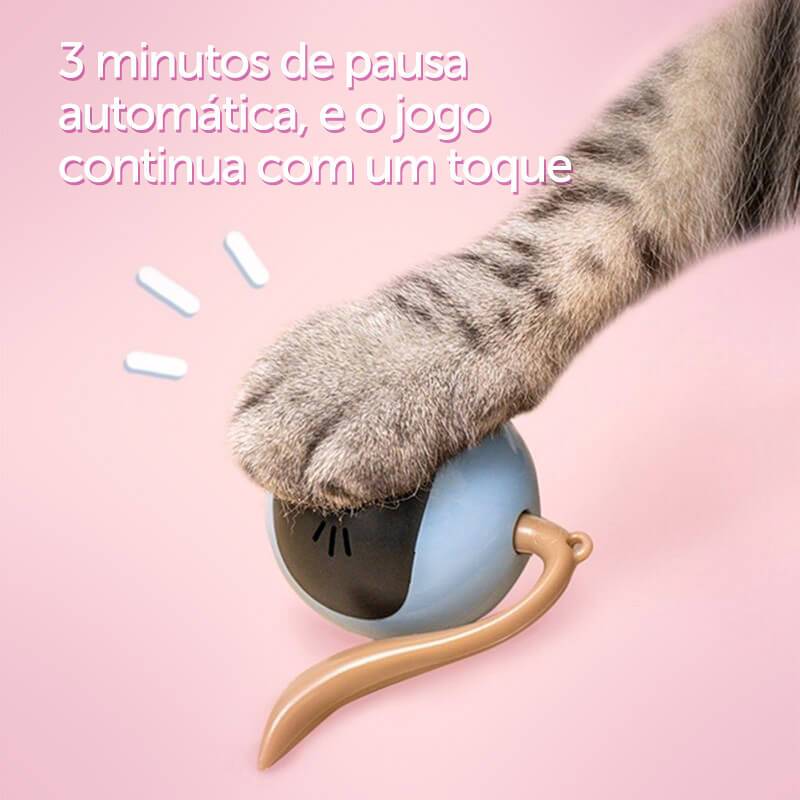 malha para gatos - Divertido Jogo em Forma S para Interação Gatos