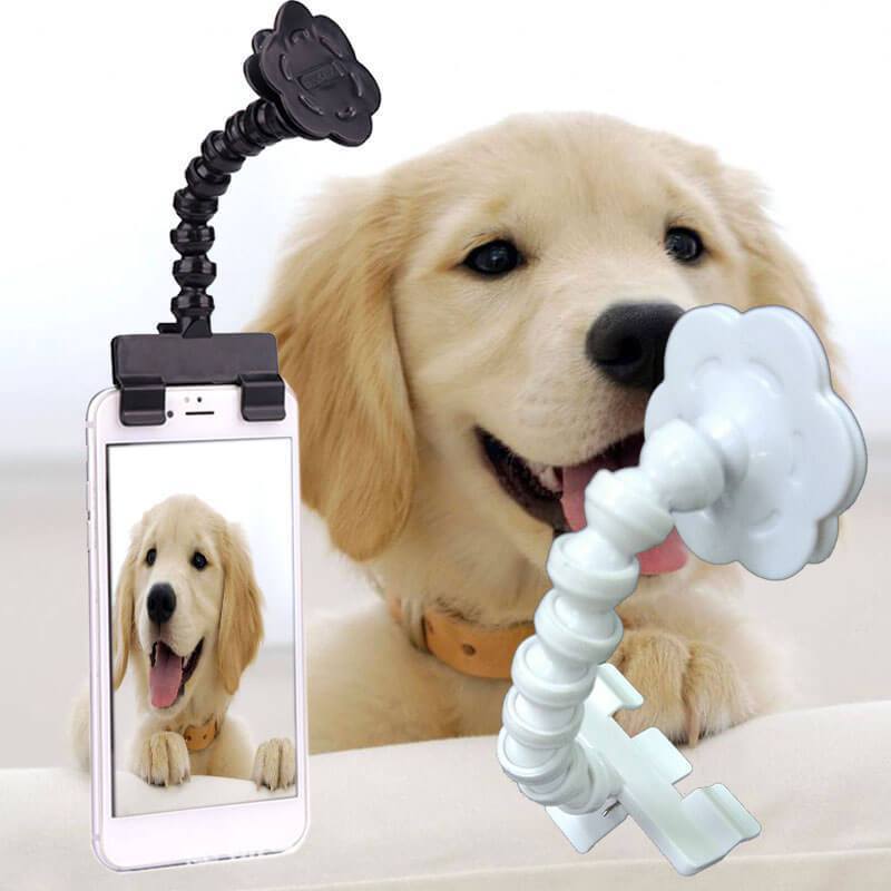 Acessório para Cachorro e Gato Pet Sefie Stick – PetMimos