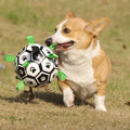 PROMOÇÃO Bola Interativa com alças para cachorro + Brinde Válvula para encher - PetMimos